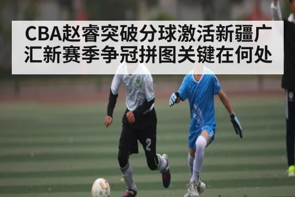 CBA赵睿突破分球激活新疆广汇新赛季争冠拼图关键在何处